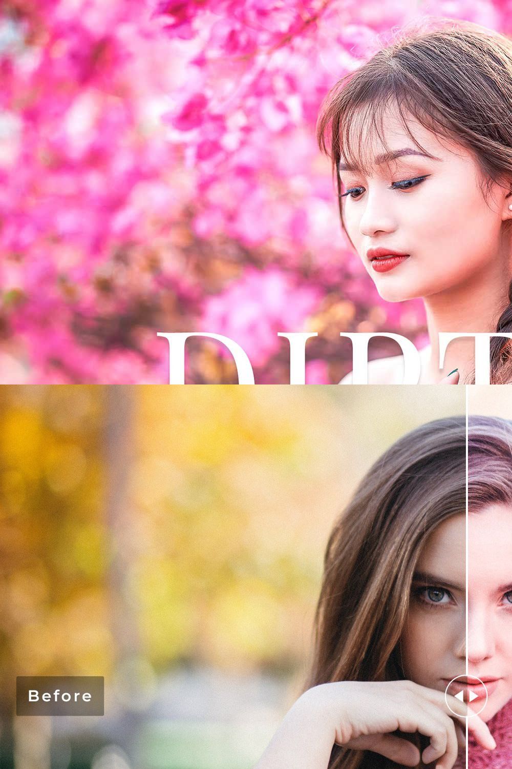 Diptam Pro Lightroom Presets pinterest preview image.