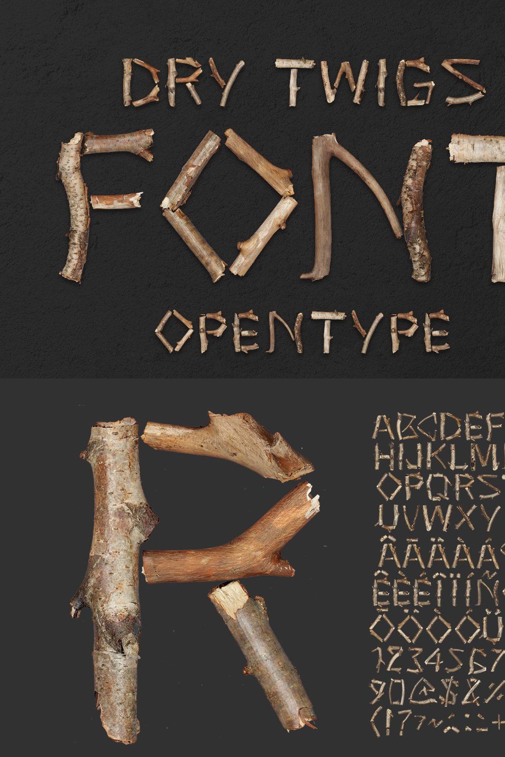 Dry Twigs Font pinterest preview image.