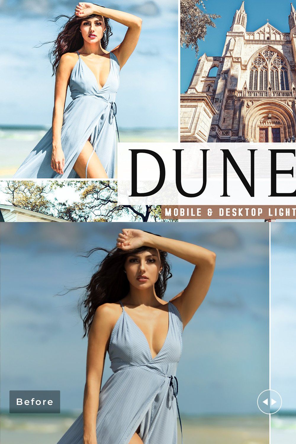 Dunedin Pro Lightroom Presets pinterest preview image.