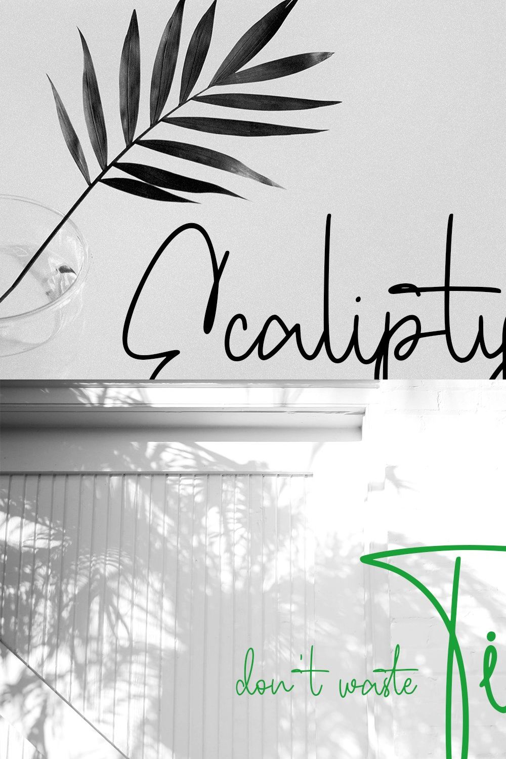 Ecaliptycus Script Font pinterest preview image.