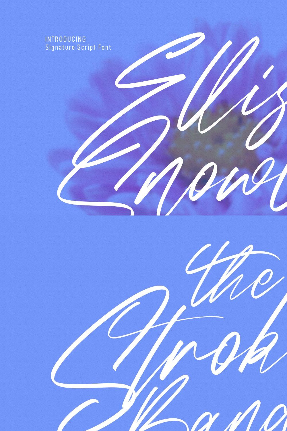 Ellisa Snowly Signature Script Font pinterest preview image.