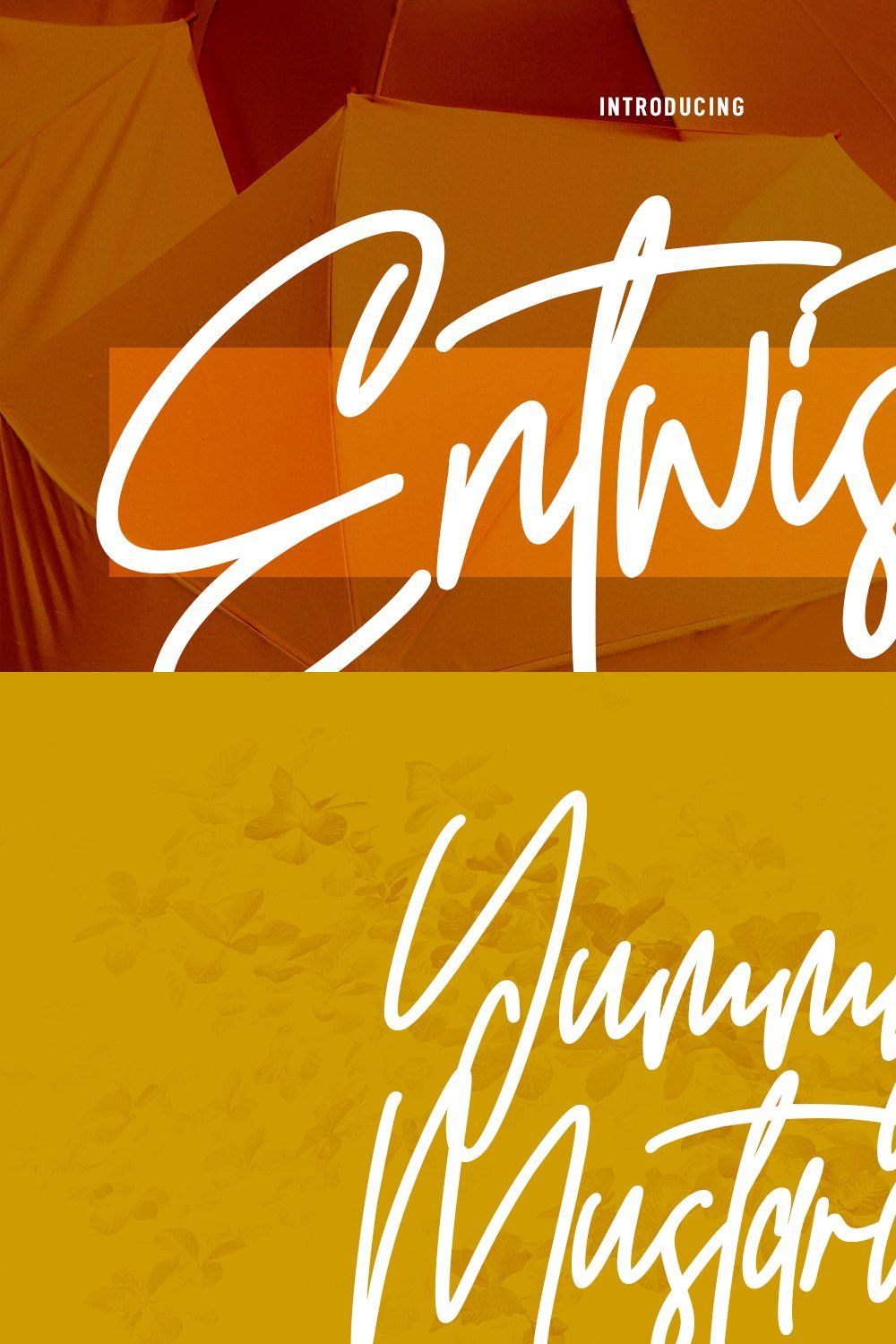 Entwisted Monoline Signature Script pinterest preview image.