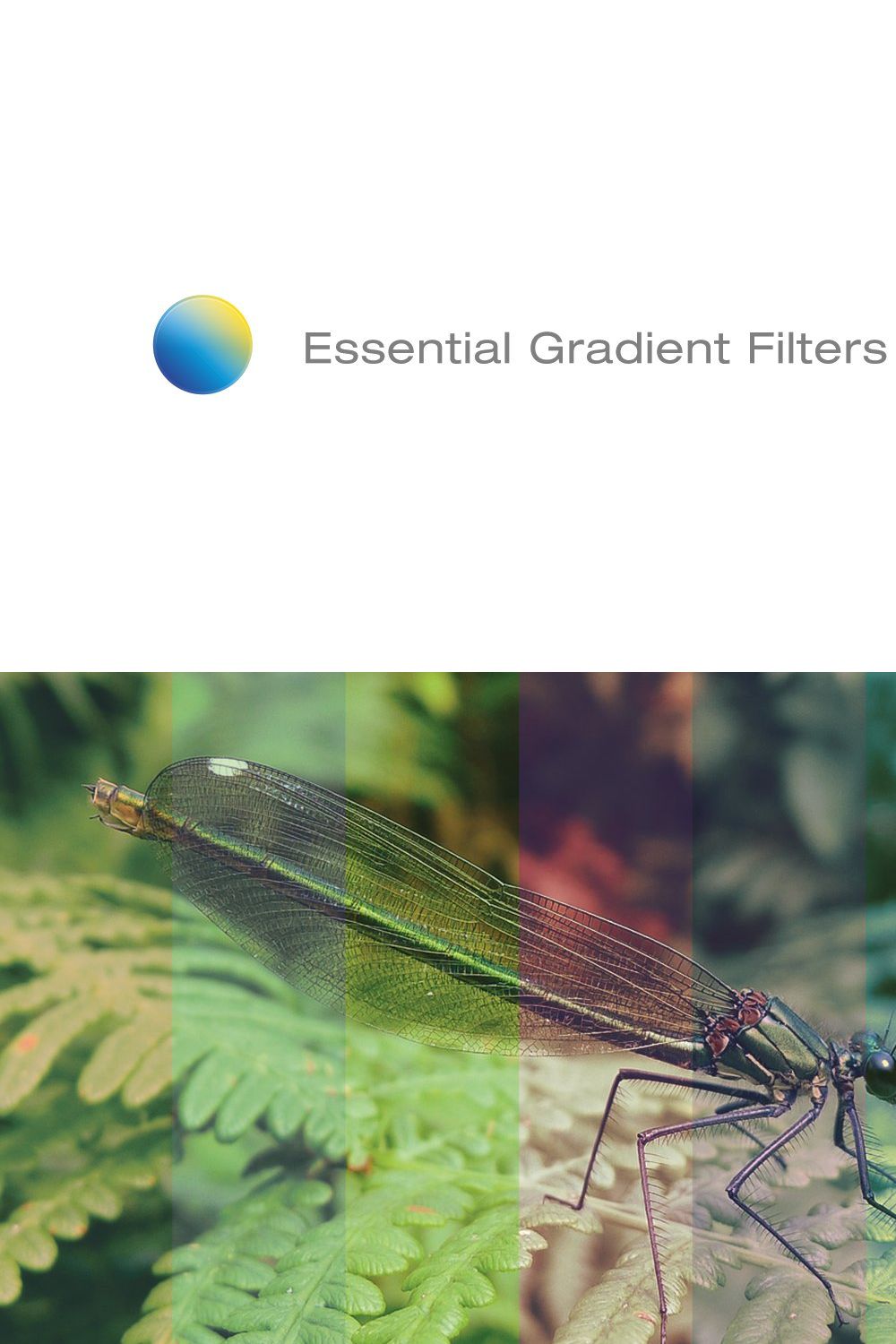 Essential Gradient Filters pinterest preview image.