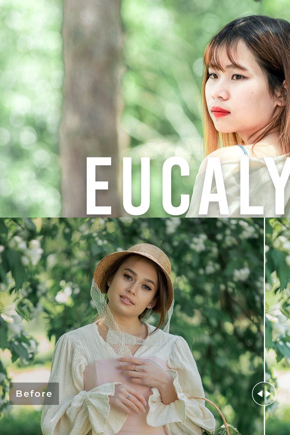 Eucalyptus Pro Lightroom Presets pinterest preview image.