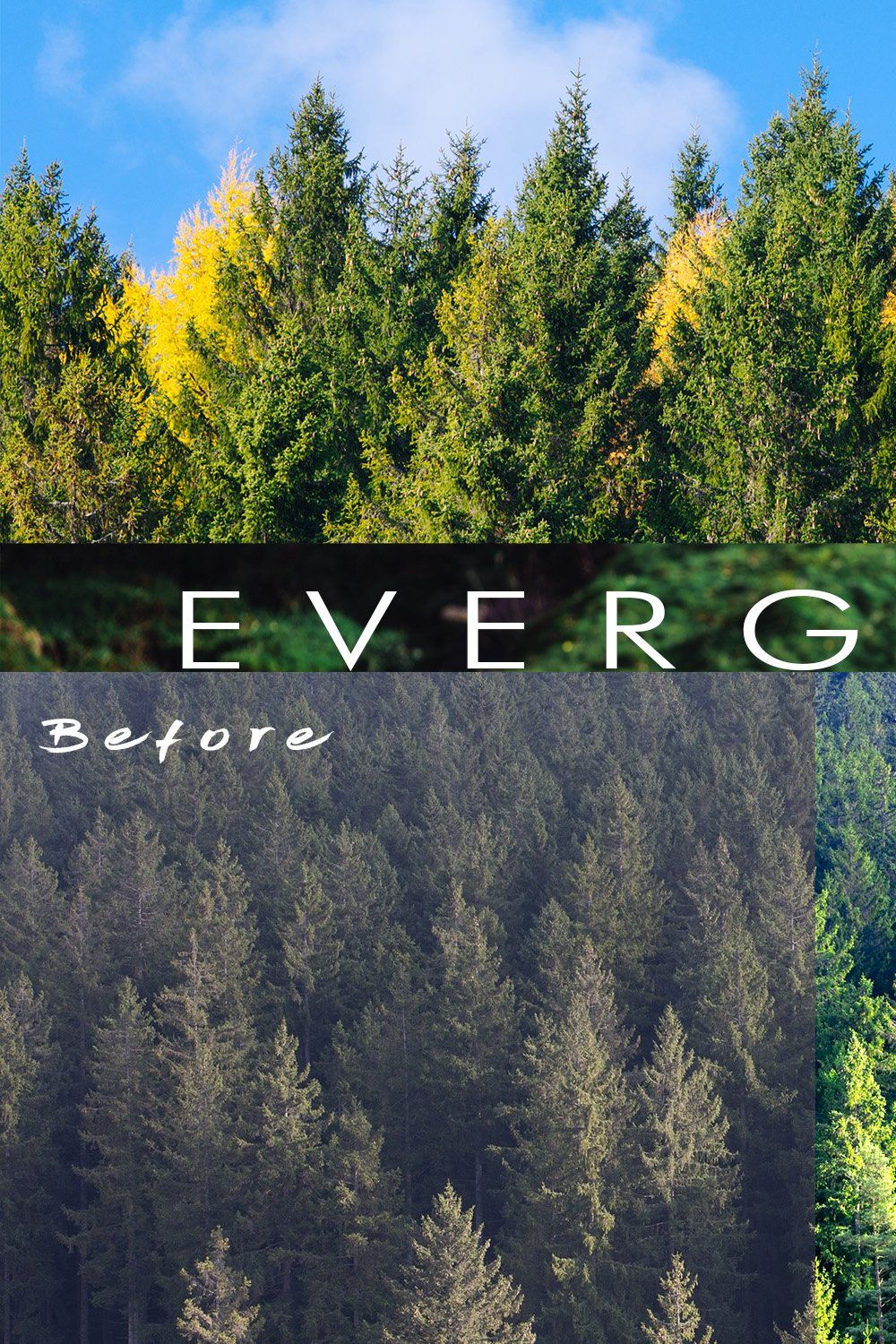 Ever Green 10 Lightroom Presets. pinterest preview image.