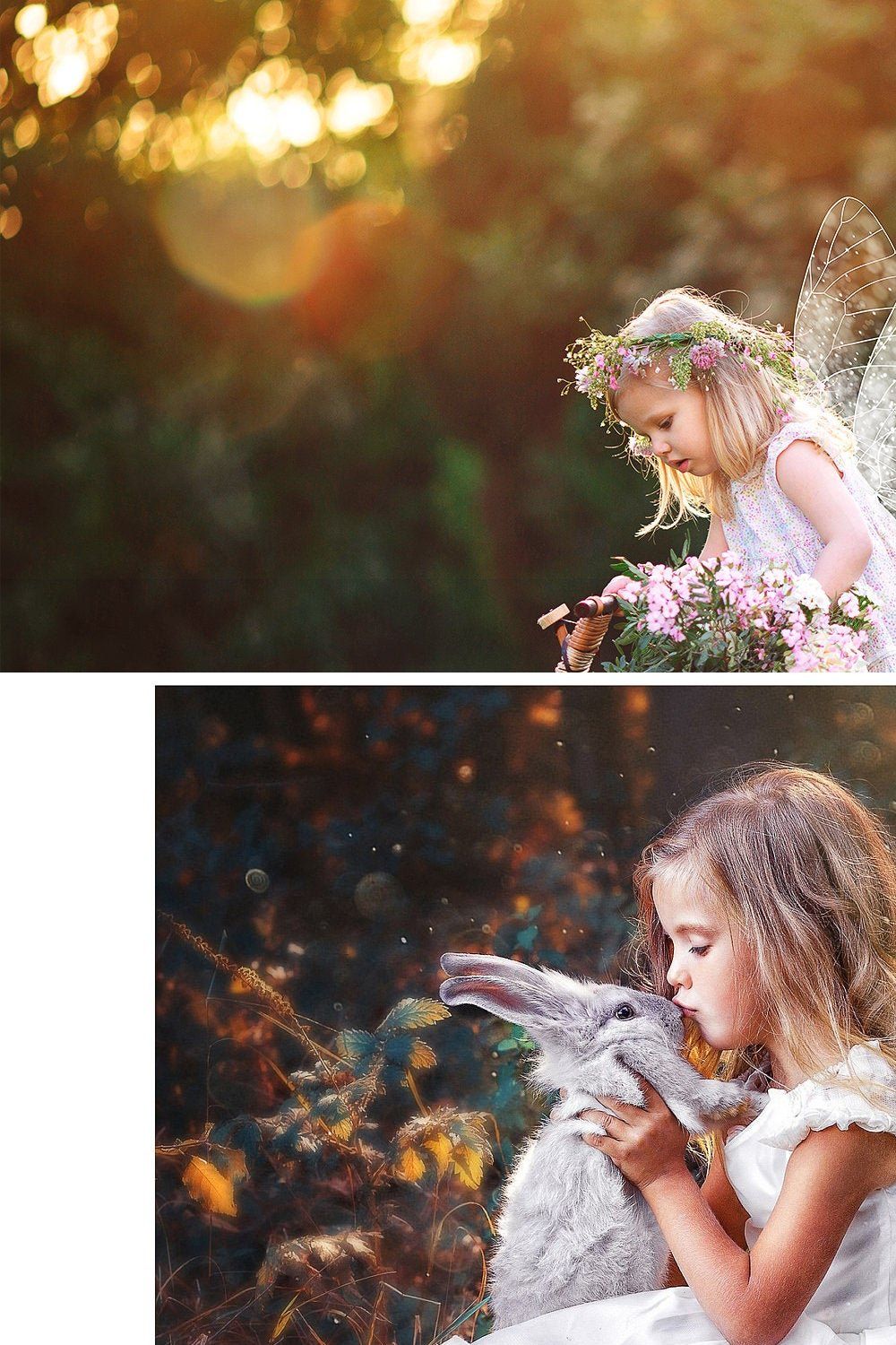 Fairy Wings Overlays pinterest preview image.