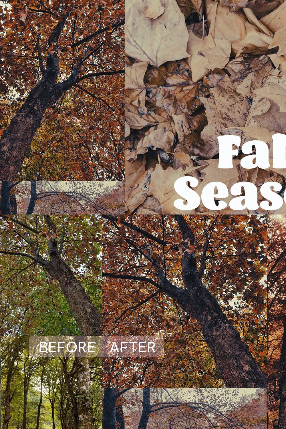 Fall Season - 6 Lightroom Presets pinterest preview image.