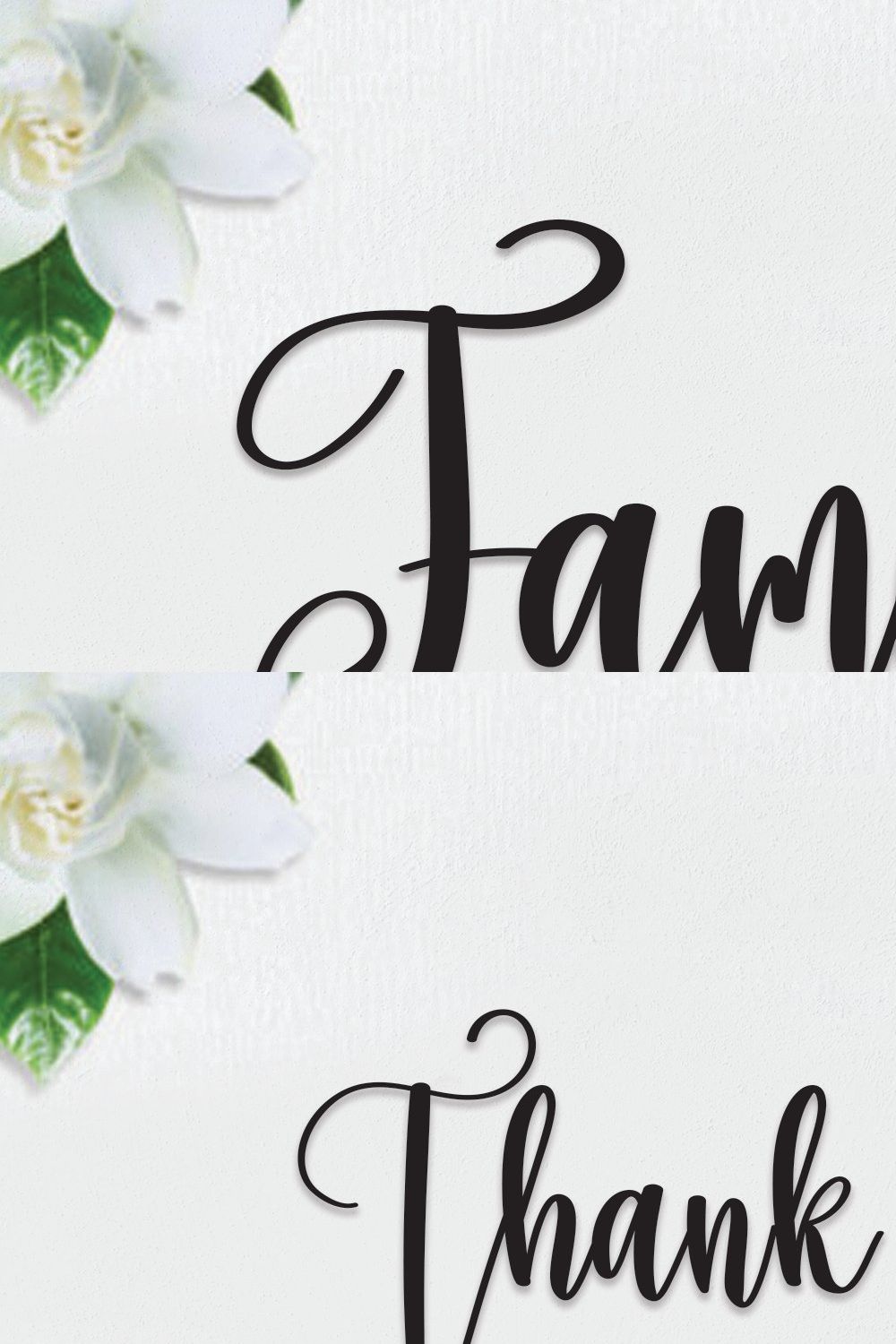 Family | Script Font pinterest preview image.