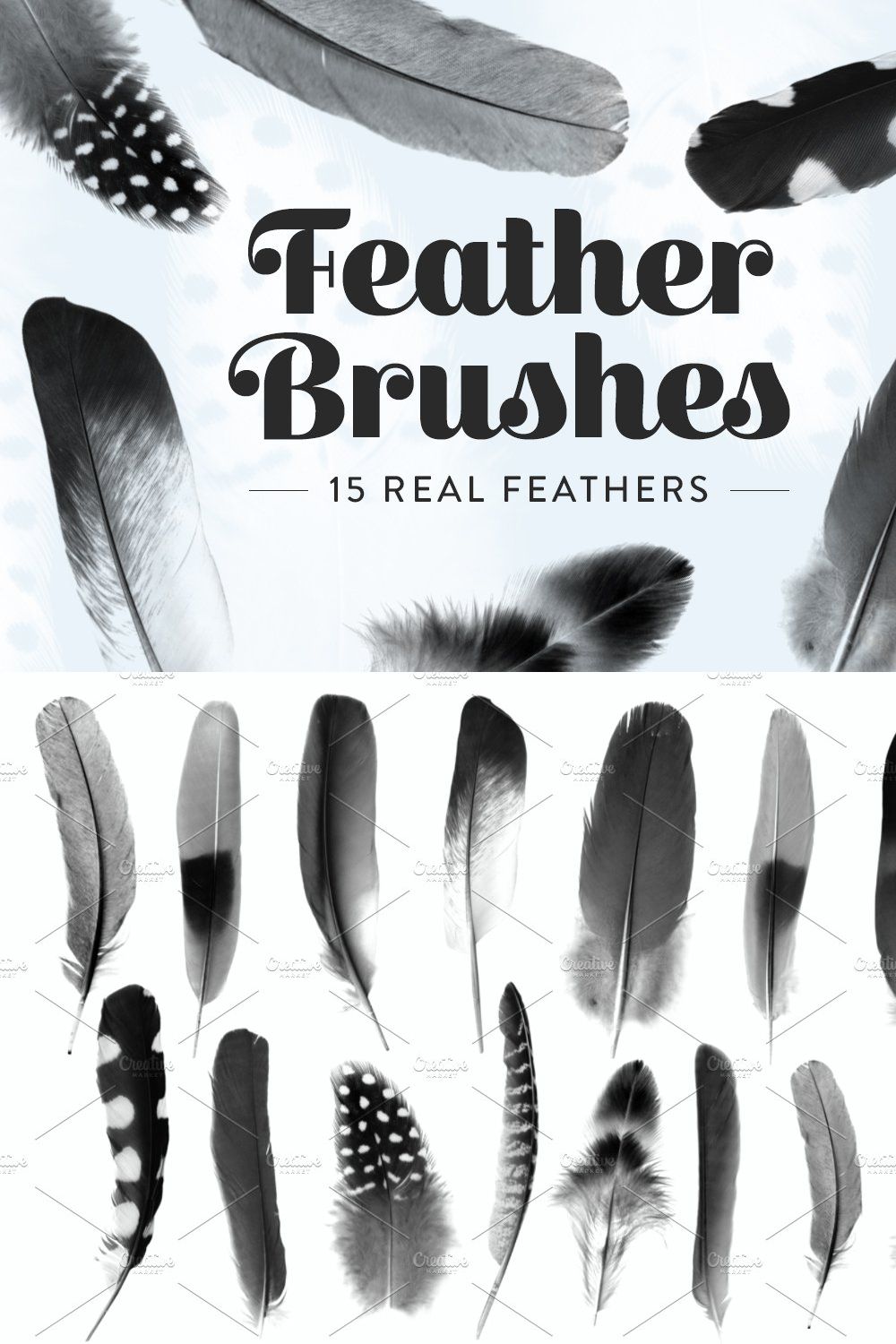 Feather Photoshop brushes pinterest preview image.