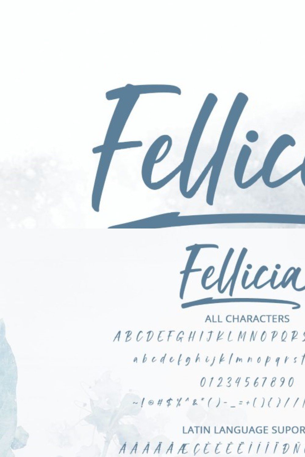 Fellicia pinterest preview image.