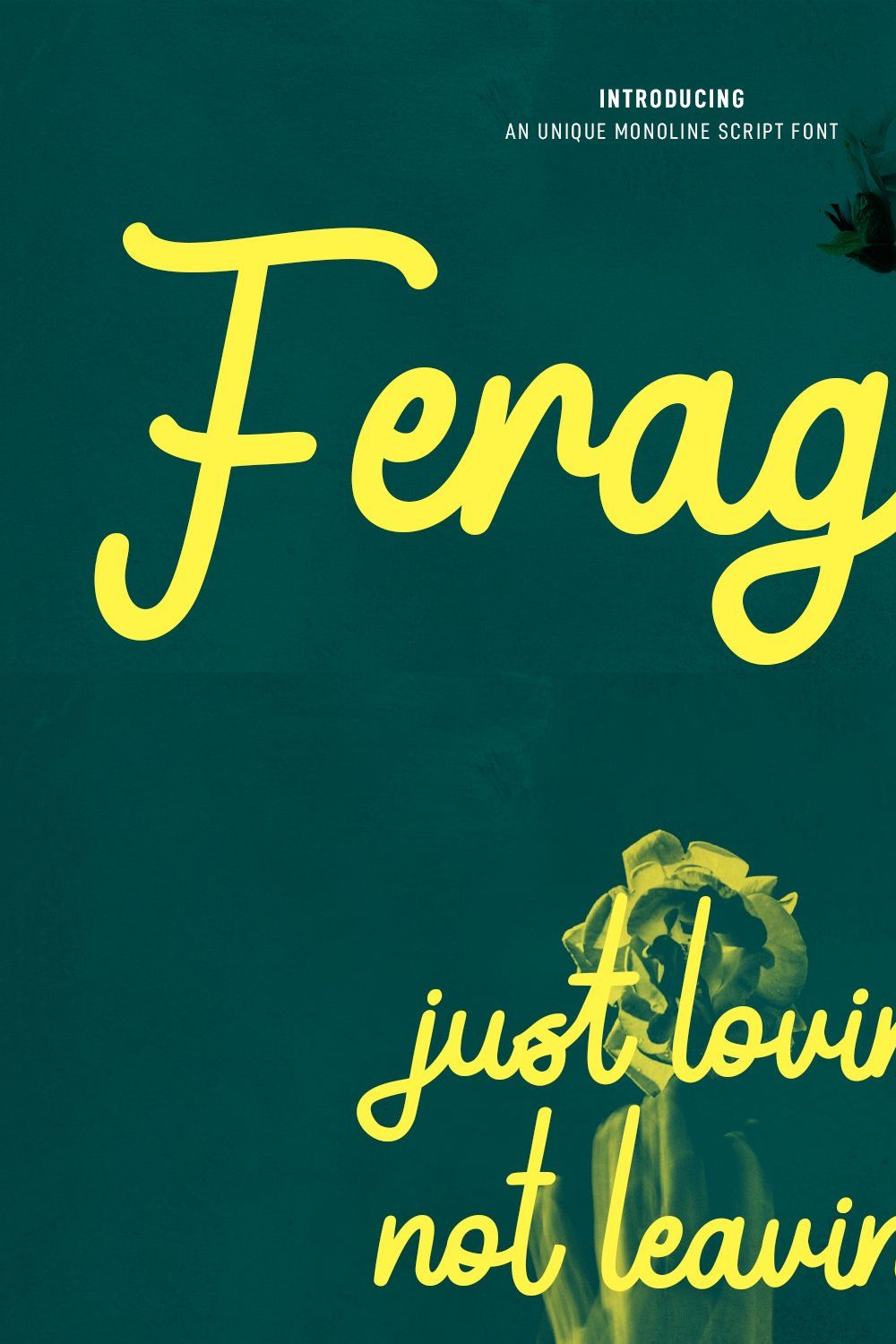 Ferageto Monoline Script Font pinterest preview image.