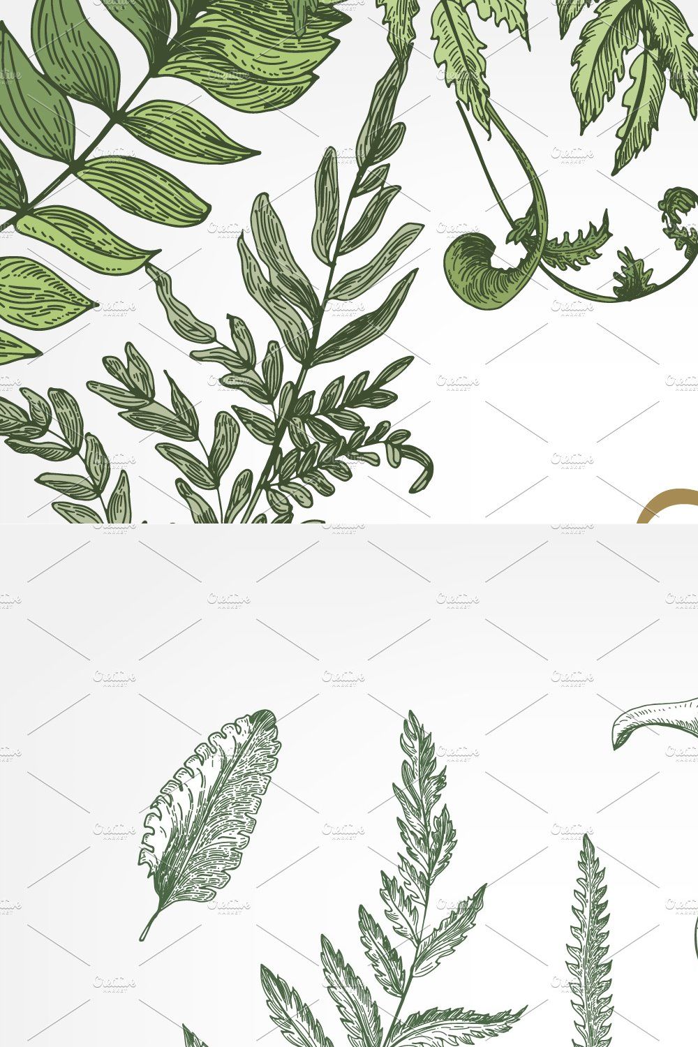 Ferns green foliage - set, backdrop pinterest preview image.