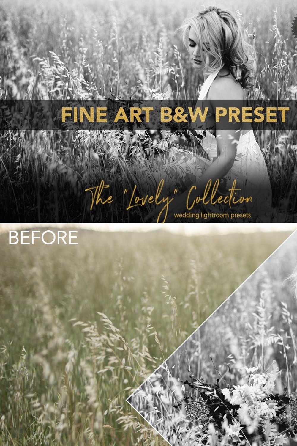 Fine Art B&W ACR + LightroomPreset pinterest preview image.