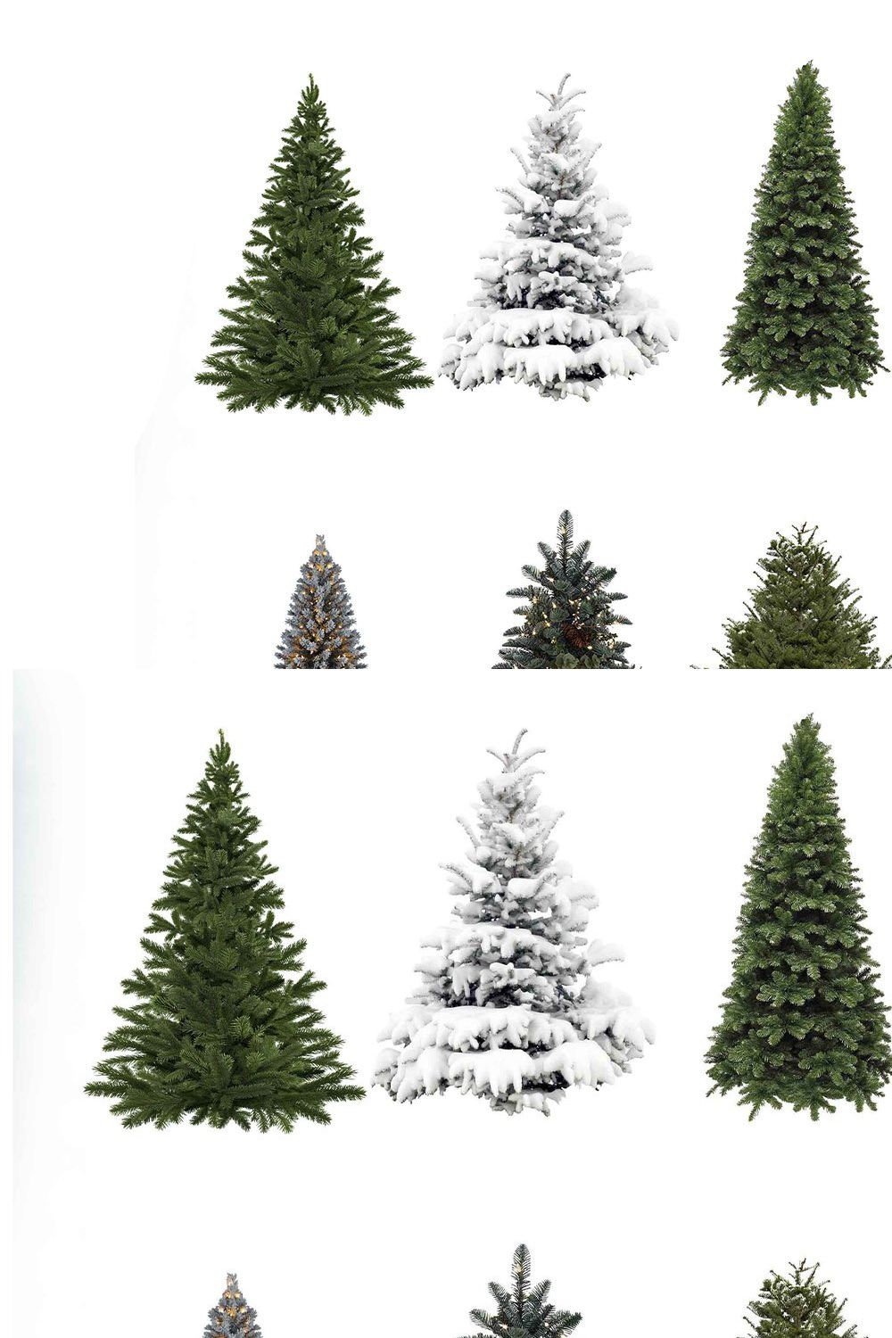 Fir Tree Overlays, Christmas, PNGs pinterest preview image.