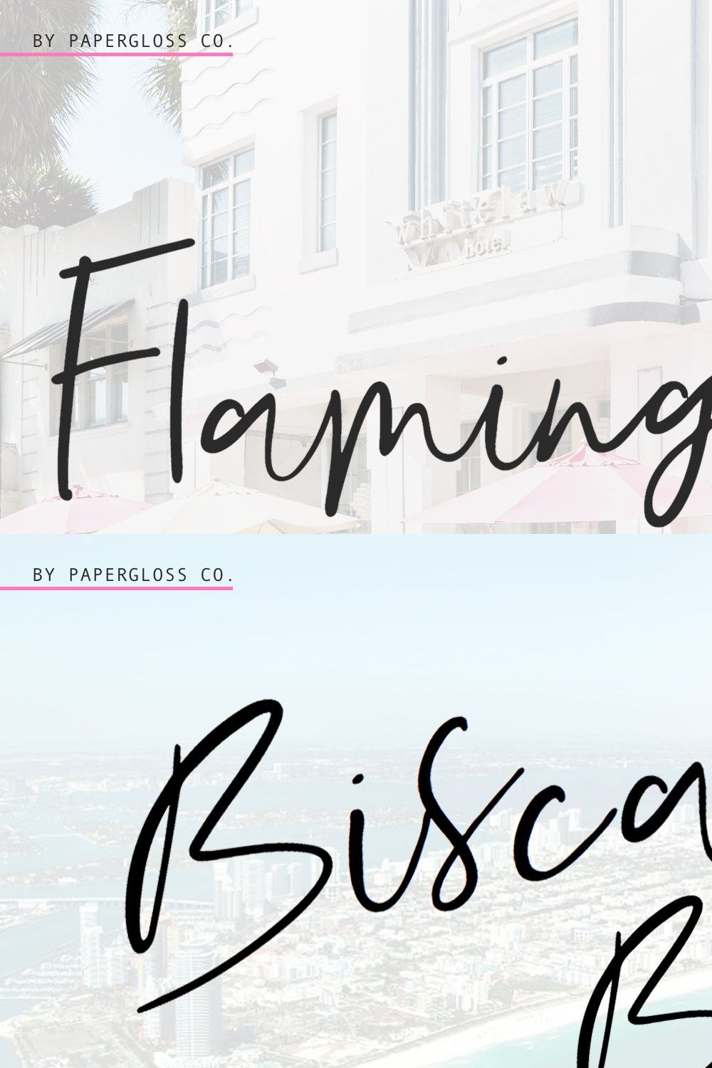 Flamingo Park + Bonus 10 Icons pinterest preview image.