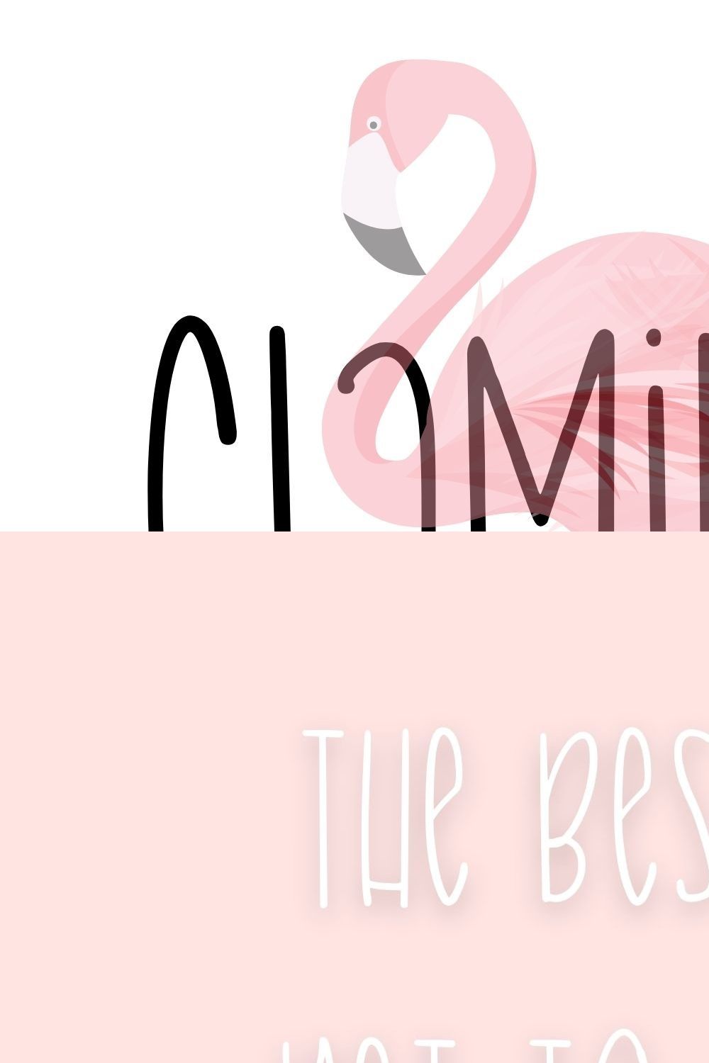 Flamingo Tall Handwritten Font pinterest preview image.