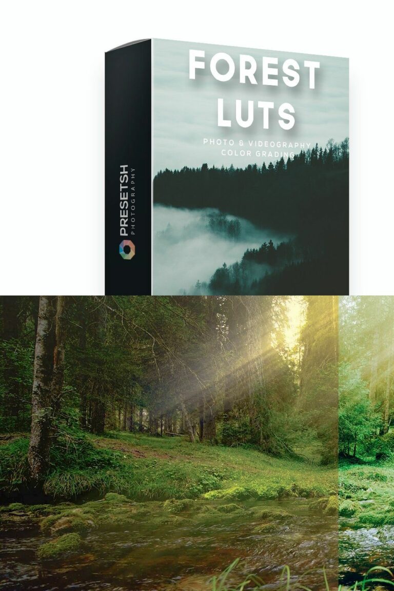 Forest LUTs for Color Grading – MasterBundles