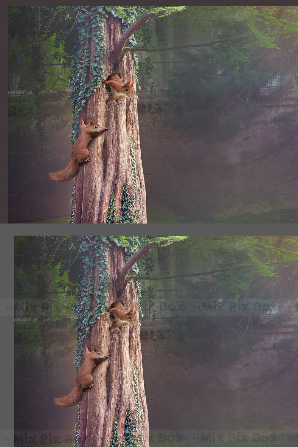 Forest Squirrels Backdrop pinterest preview image.