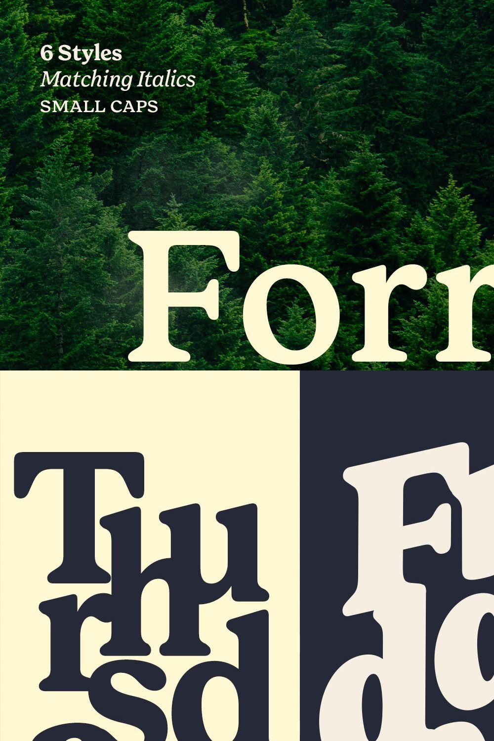 Forrest Friendly Serif Family pinterest preview image.