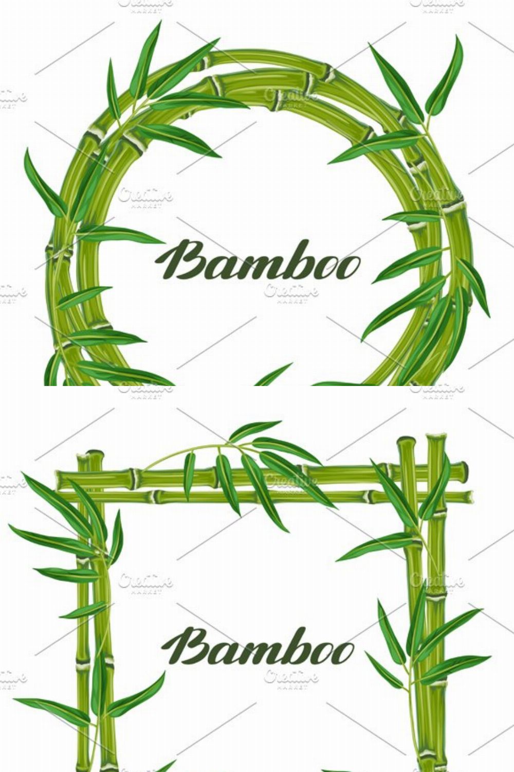Frames with bamboo plants. pinterest preview image.