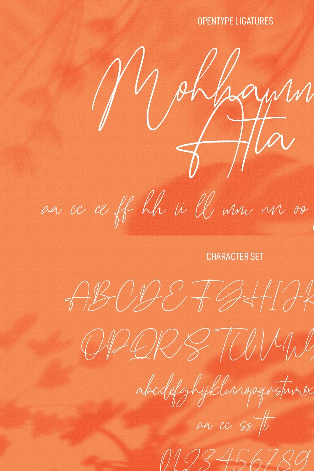 Frenchasette Signature Script Font pinterest preview image.