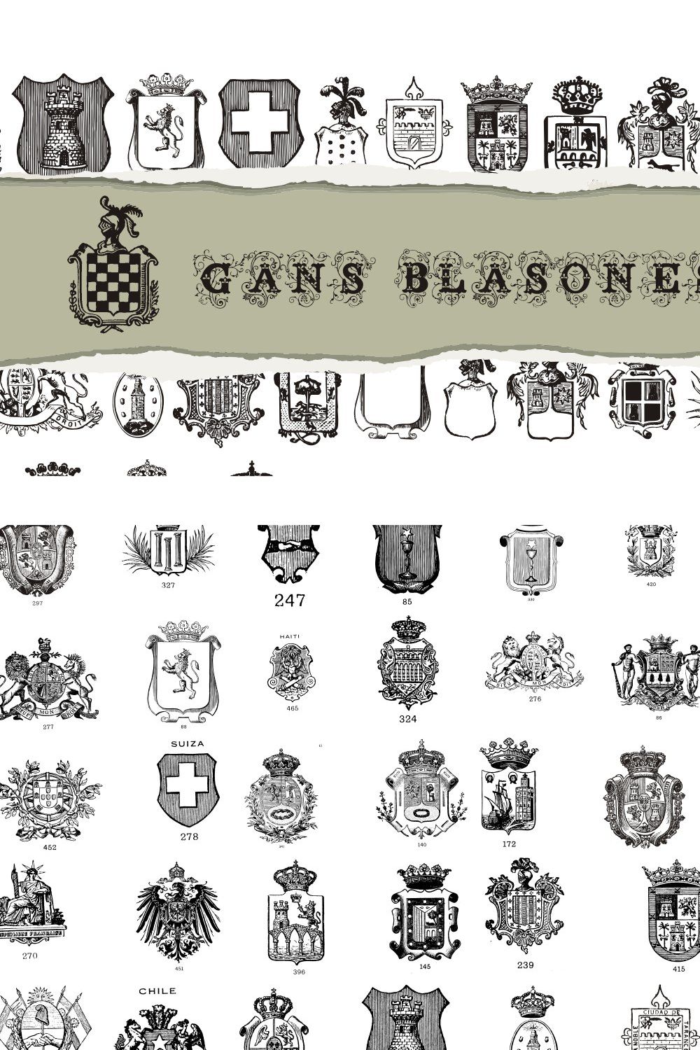 Gans Blasones pinterest preview image.