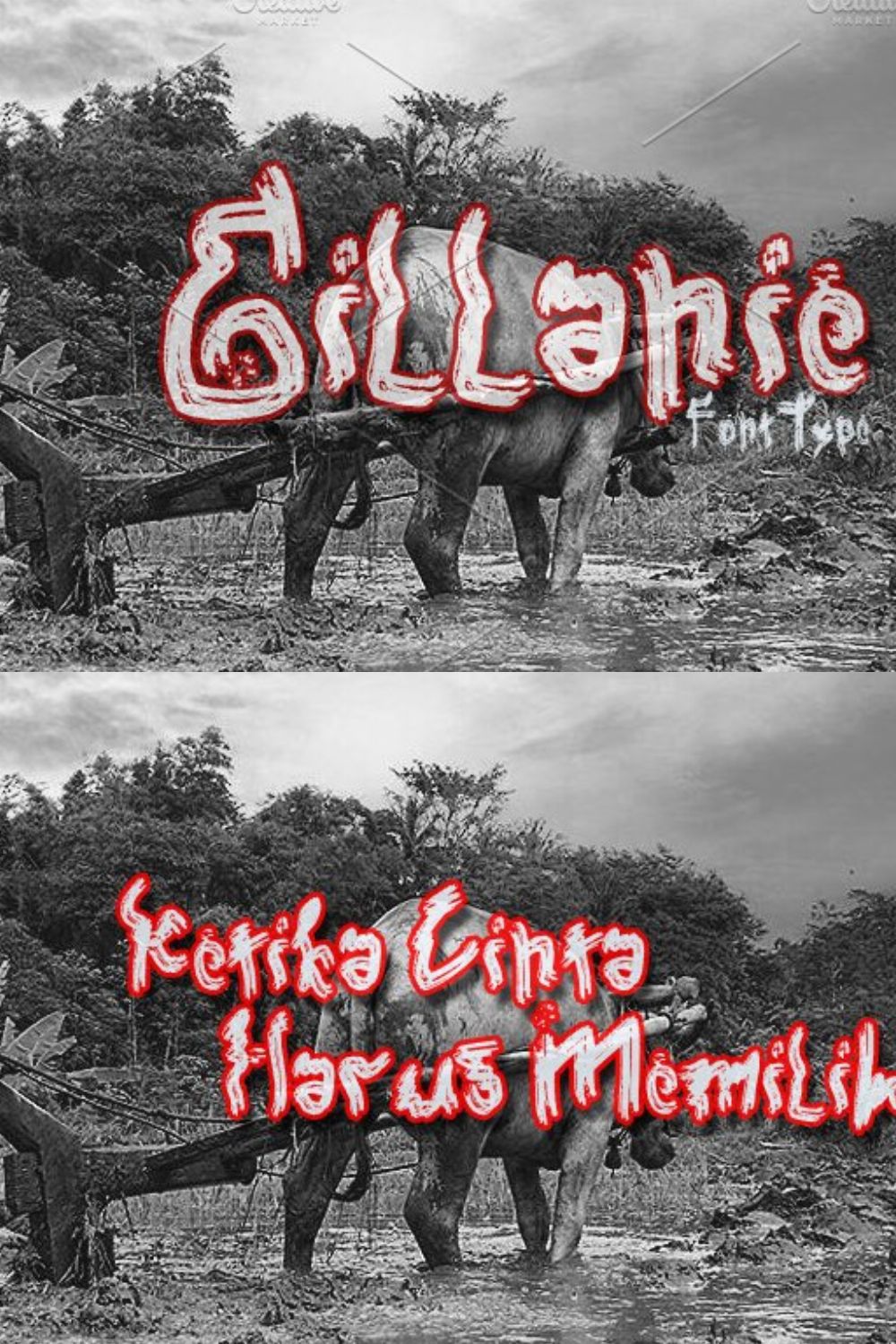 Gillanie pinterest preview image.