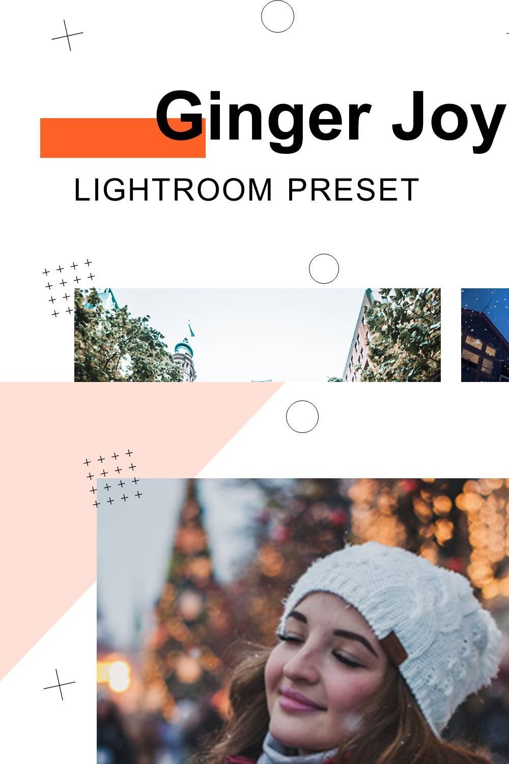 Ginger Joy - Lightroom Presets pinterest preview image.