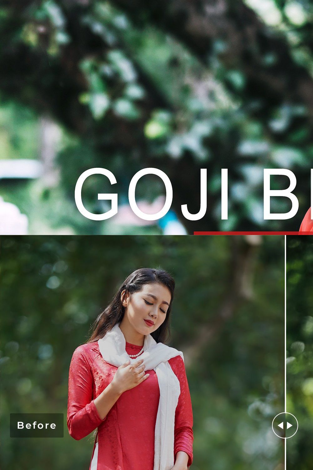 Goji Berry Pro Lightroom Presets pinterest preview image.