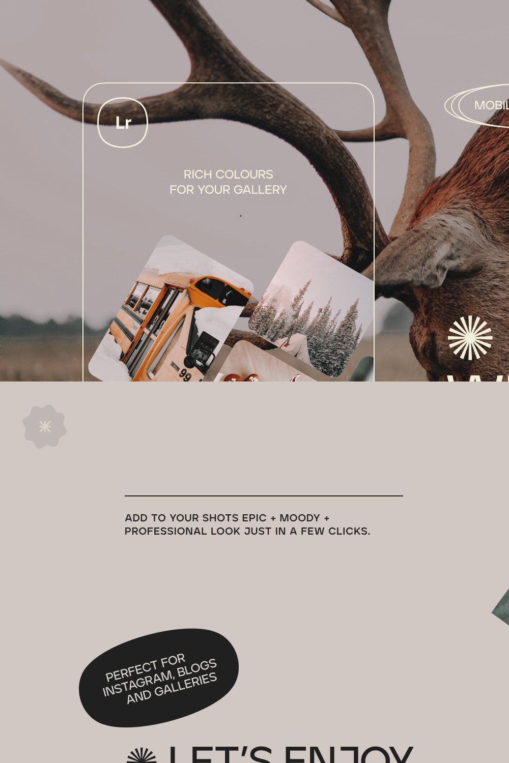 GORGEOUS WINTER / 4 LR Presets Pack pinterest preview image.