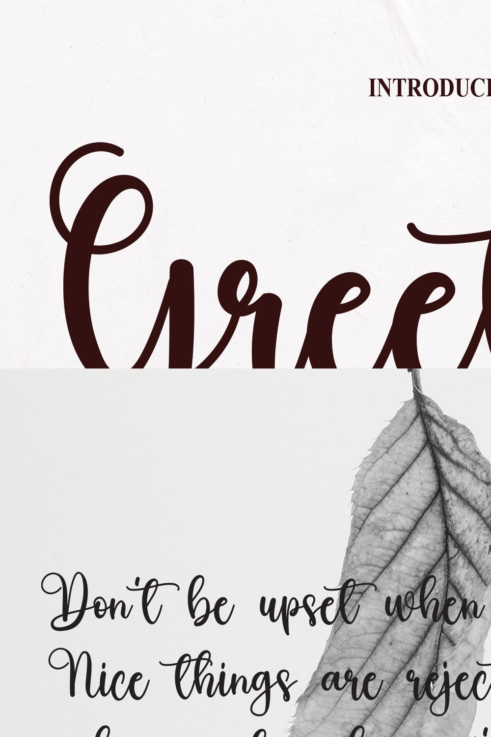 Greeting | Script Font pinterest preview image.