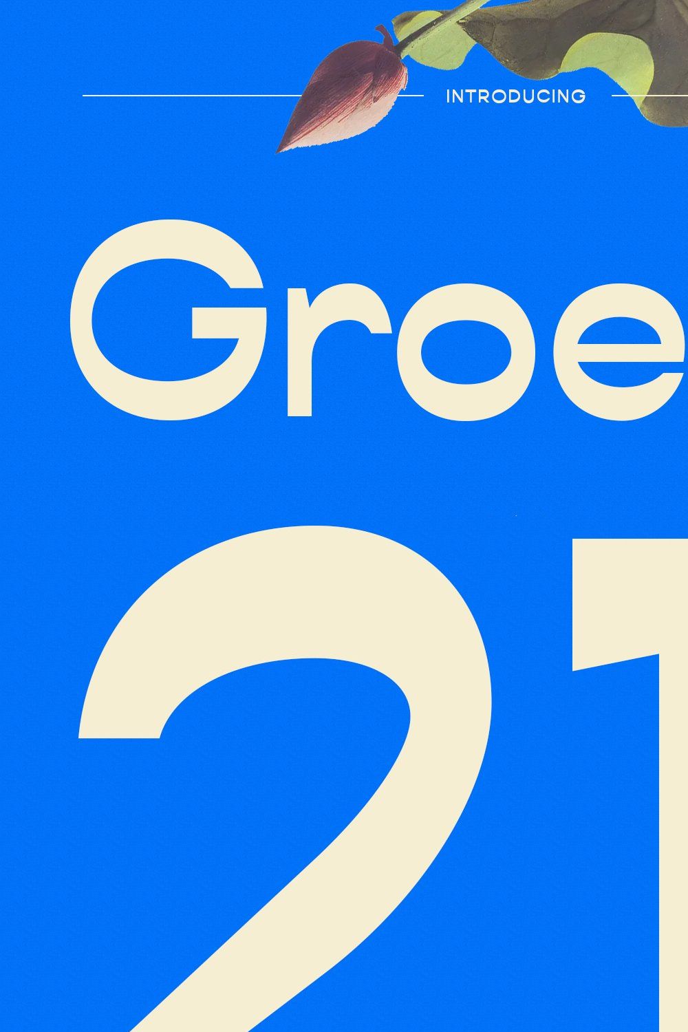 Groety Sans Display Font pinterest preview image.