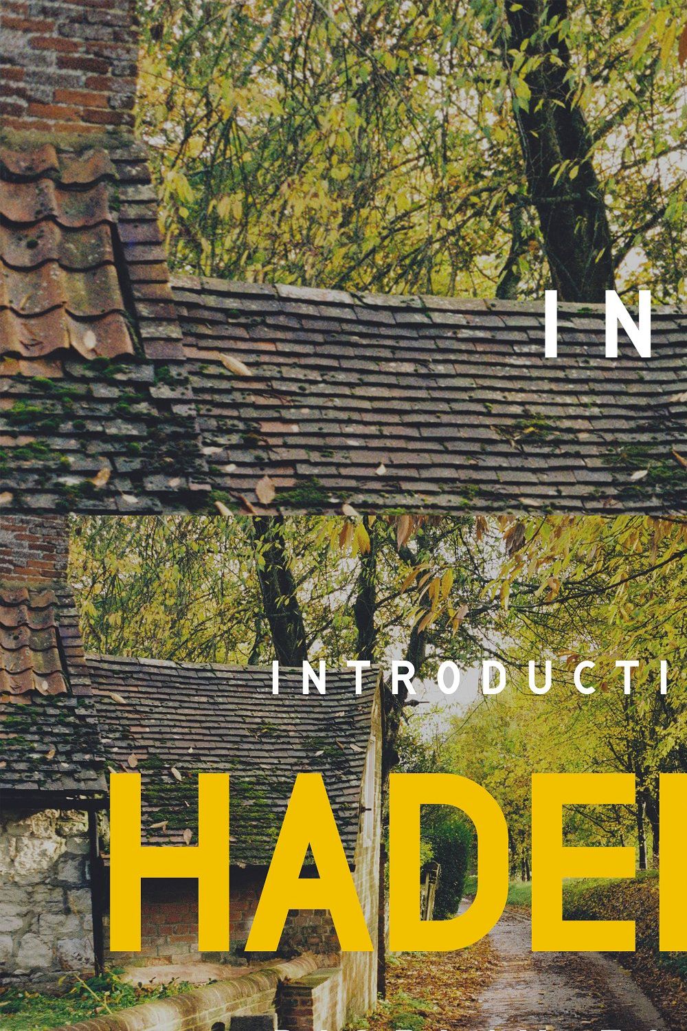 Hadera pinterest preview image.