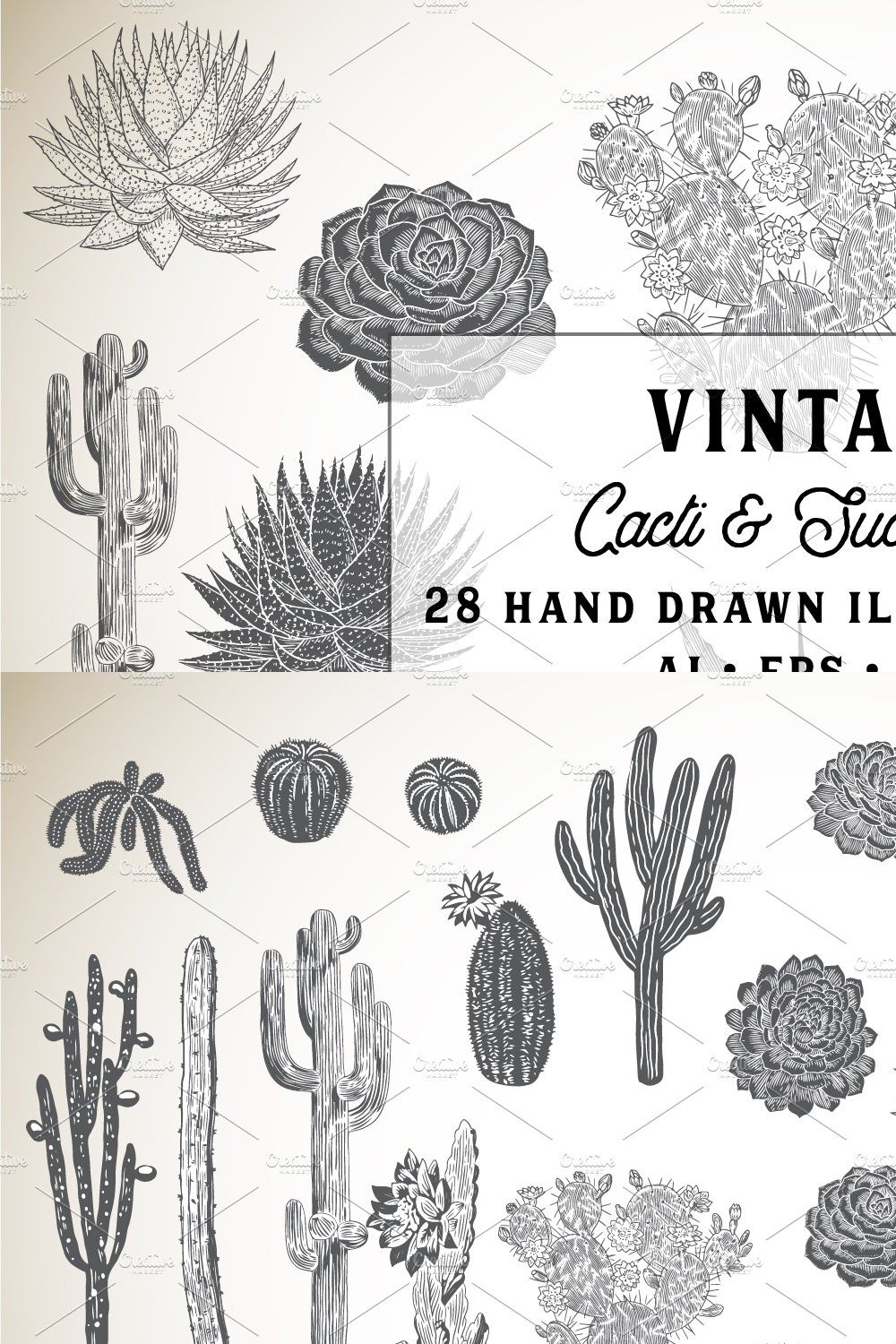 Hand Drawn Succulents & Cacti Set pinterest preview image.