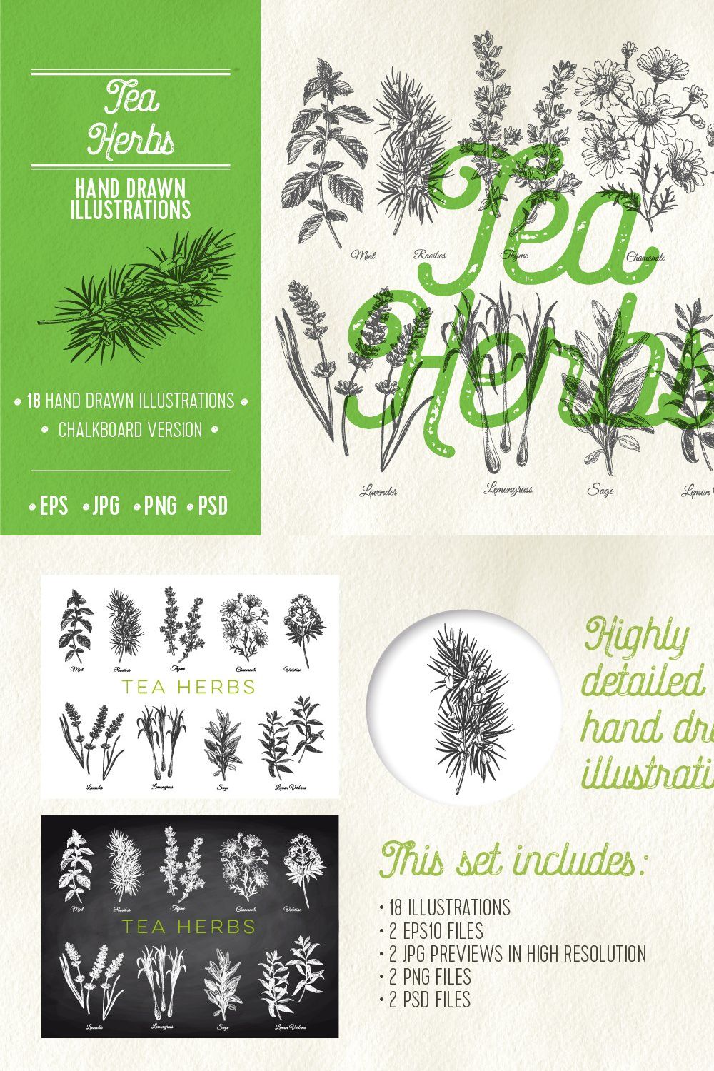 Hand drawn tea herbs illustrations pinterest preview image.