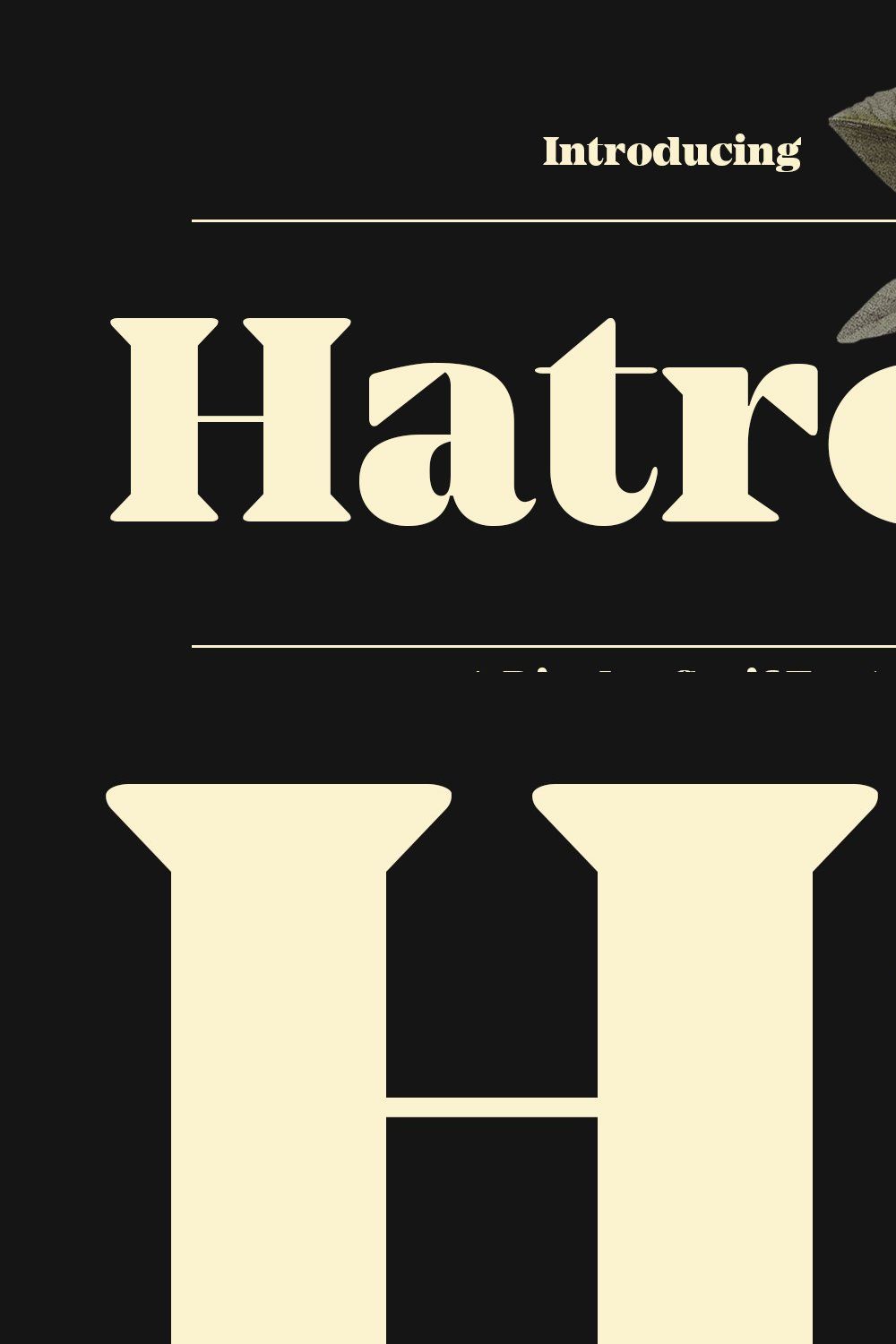 Hatrok Display Luxury Serif Font pinterest preview image.