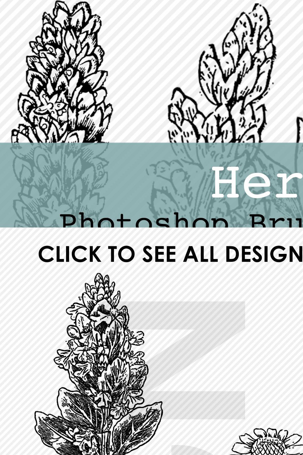 Herbal Photoshop Brushes and Stamps pinterest preview image.