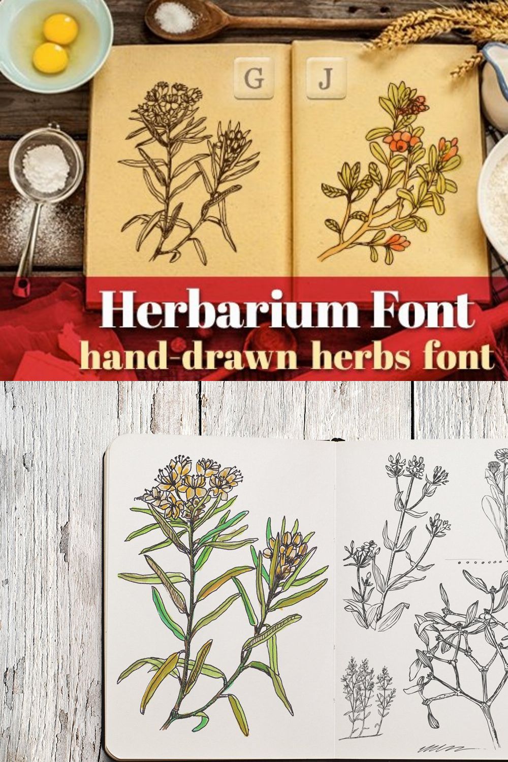 Herbarium Font pinterest preview image.