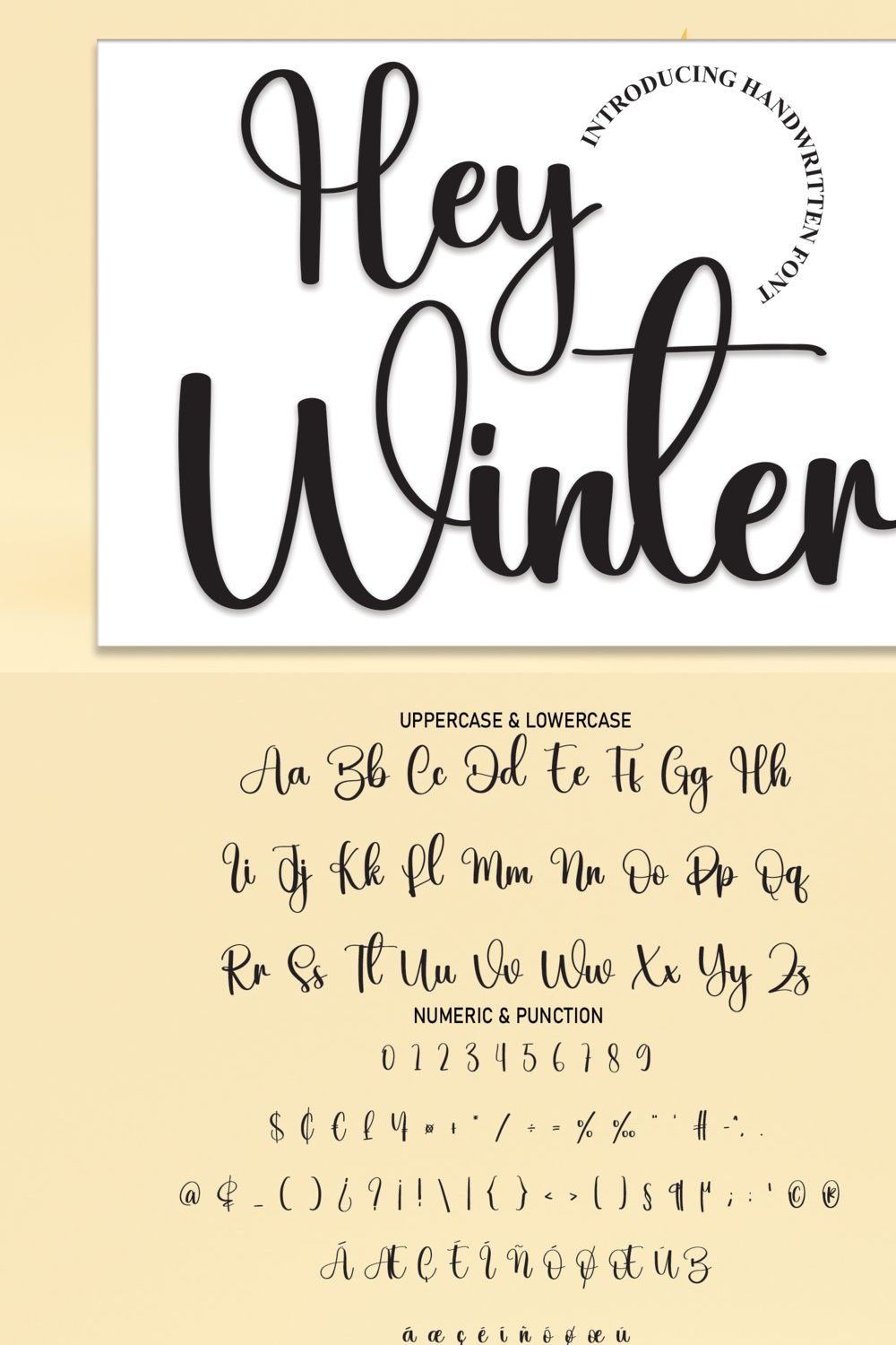 Hey Winter | Script Font pinterest preview image.