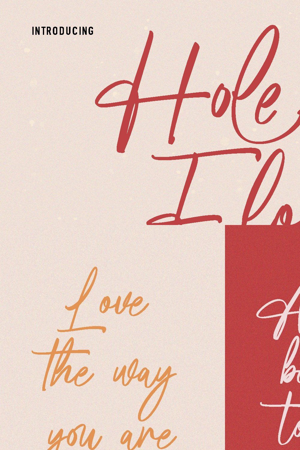 Holeflow Signature Script Font pinterest preview image.