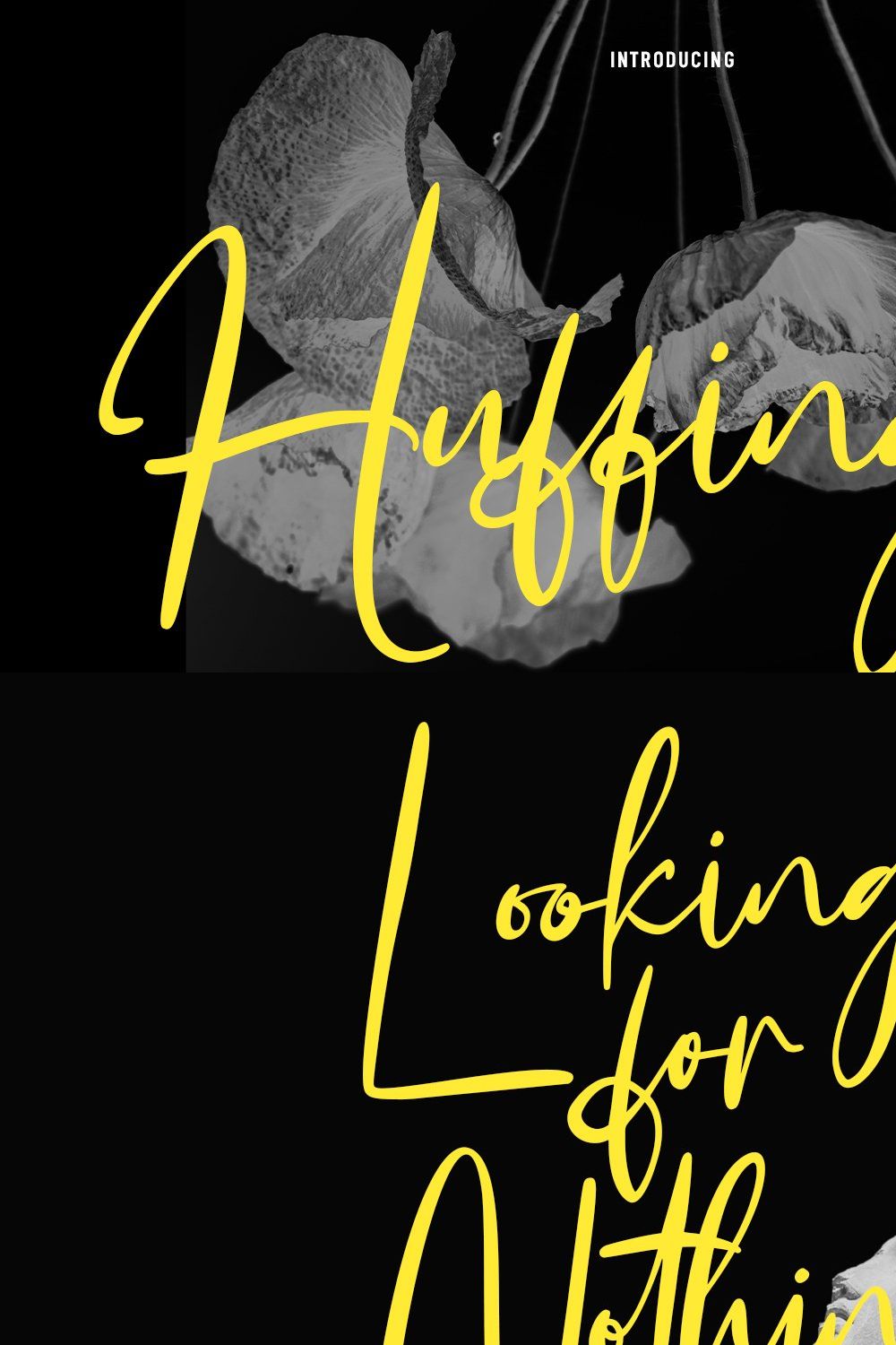 Huffington Signature Script Font pinterest preview image.