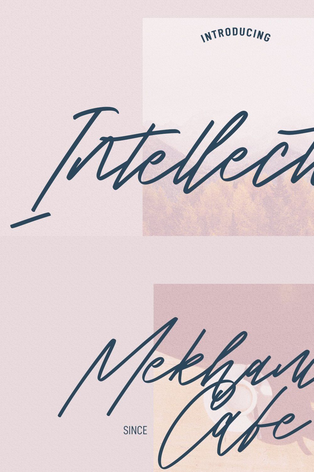 Intellections Signature Script Font pinterest preview image.