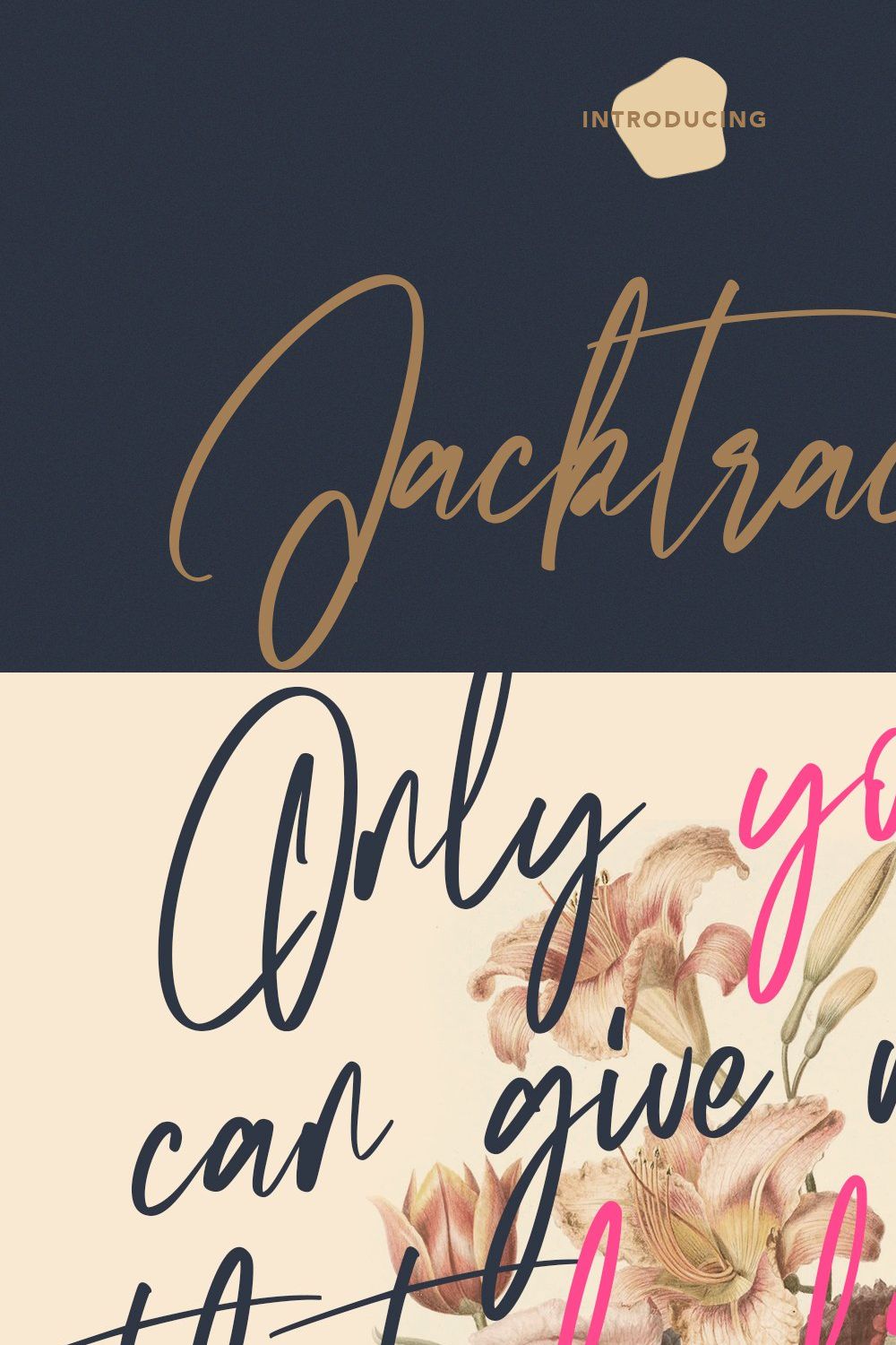 Jacktracks Signature Font pinterest preview image.