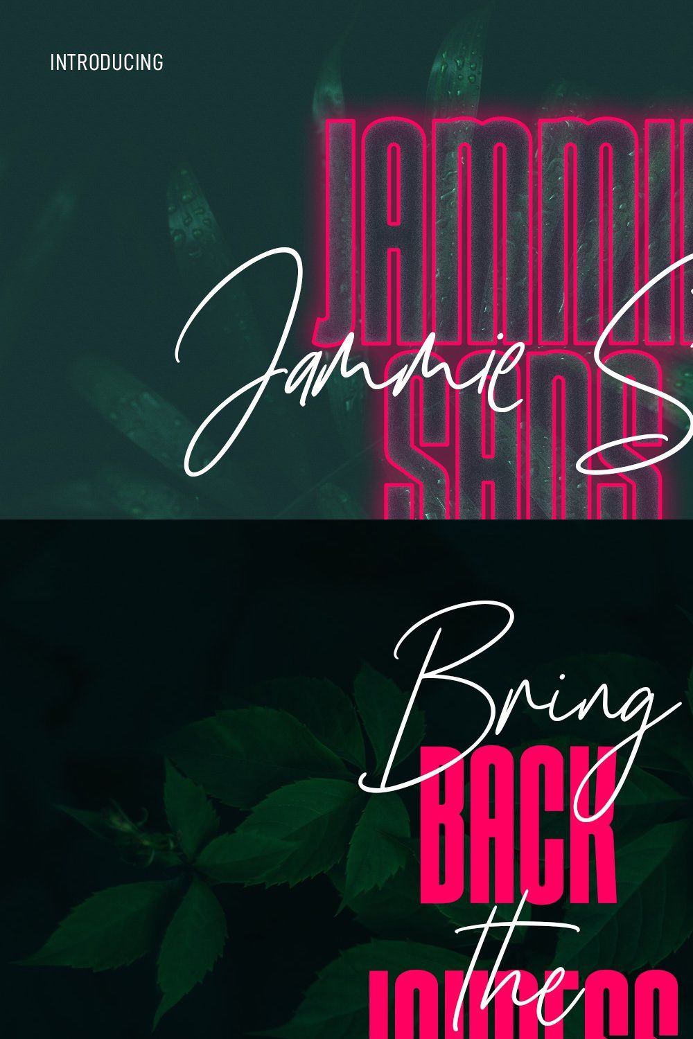 Jammie Stars Signature Script Sans pinterest preview image.