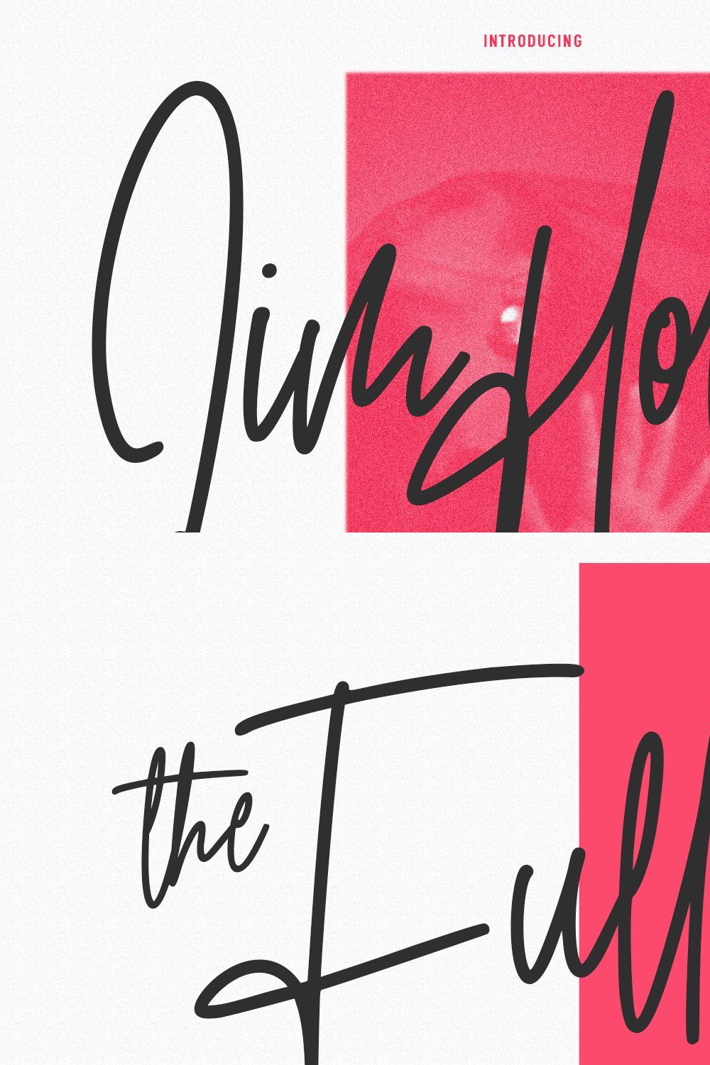 Jim Holly Signature Script Font pinterest preview image.