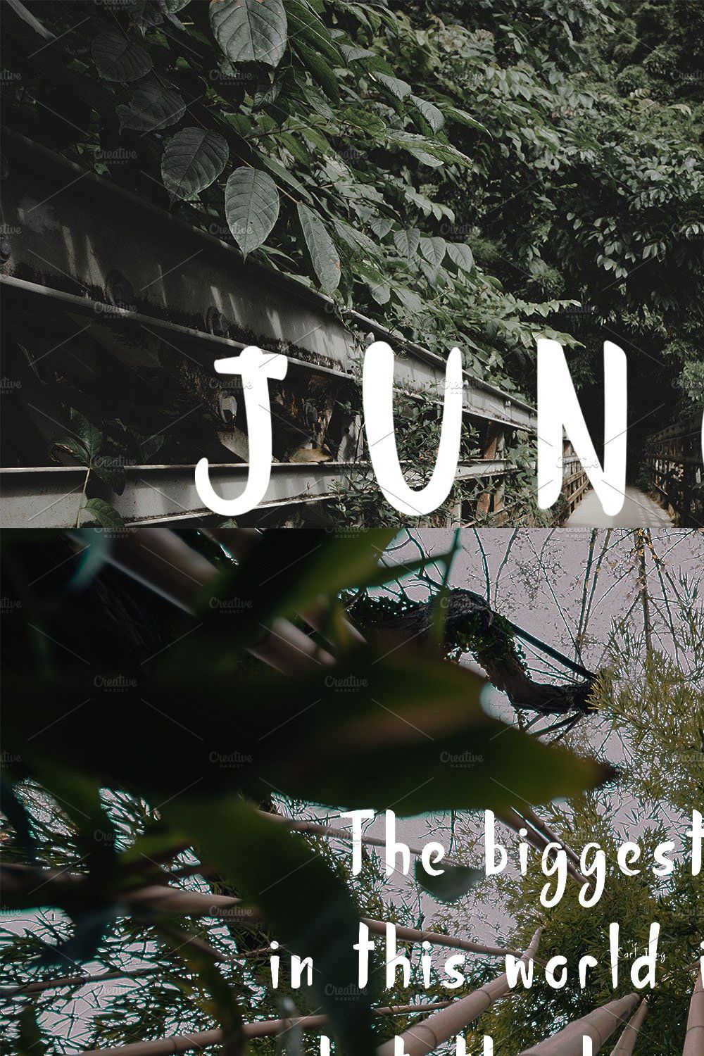 Jungle Display Font pinterest preview image.