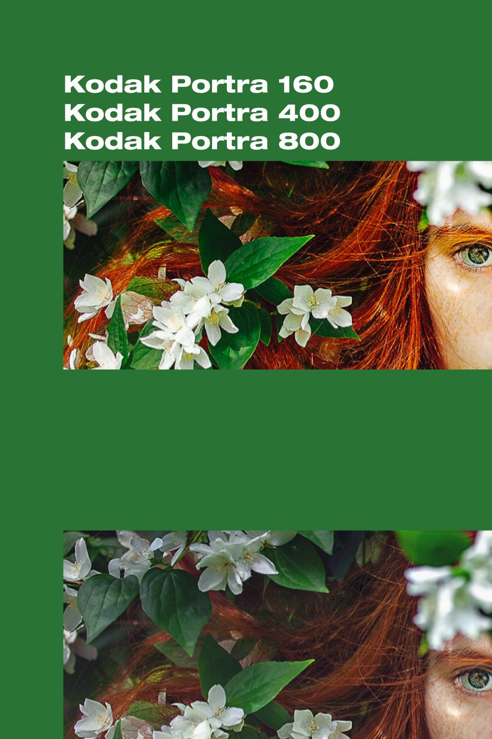 Kodak Portra Film Lightroom Presets pinterest preview image.