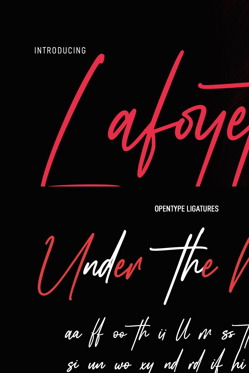 Lafoyettes Signature Script Font pinterest preview image.