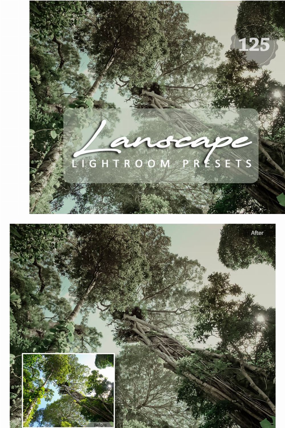 Landscape Cinema Lightroom Presets pinterest preview image.