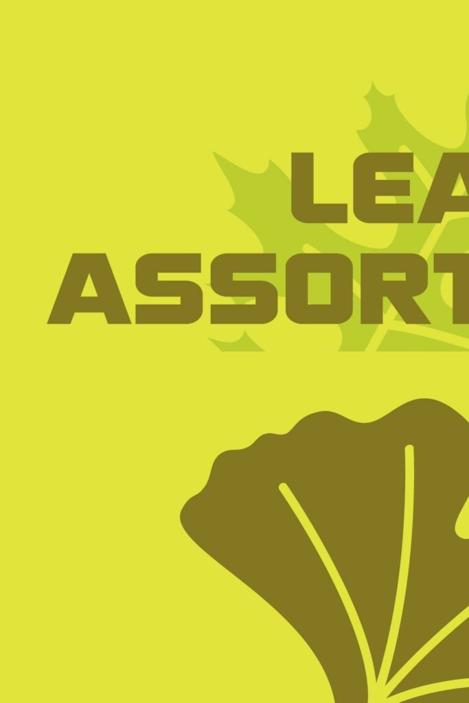 Leaf Assortment Font – MasterBundles